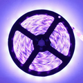 380–385nm UV LED Strip Light, SMD5050 60LEDs/m 5m Flexible Ultraviolet Strip for Curing & Decor